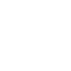 Maximized Icon